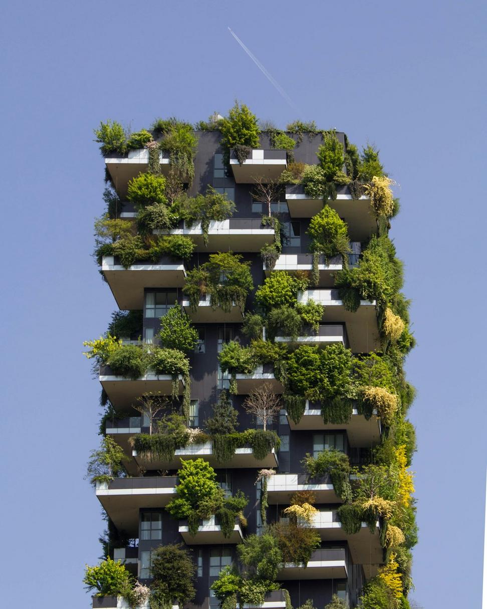 Riverside Eco-Home
