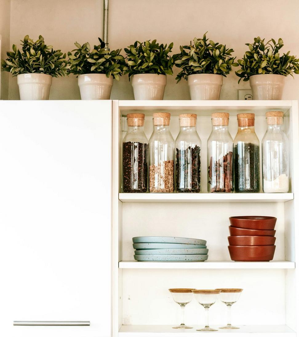 High Park Kitchen Renovation